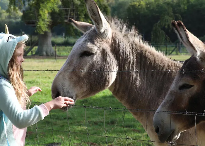 Mobil Xxl 4 - Le Clos Cacheleux *